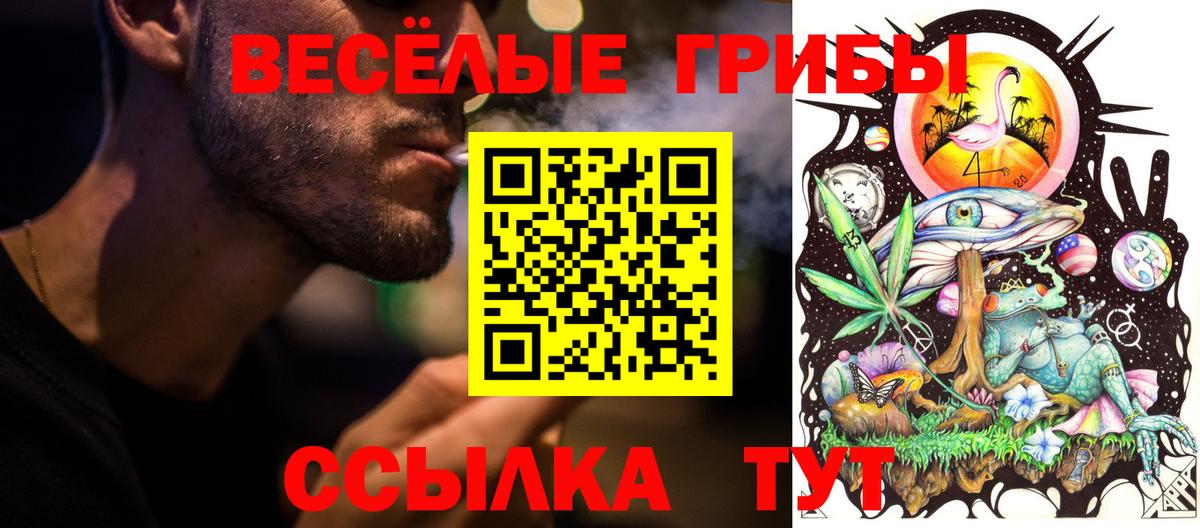 Псилоцибиновые грибы MAGIC MUSHROOMS  Вход с VPN  Шали  Псилоцибиновые грибы GOLDEN TEACHER 